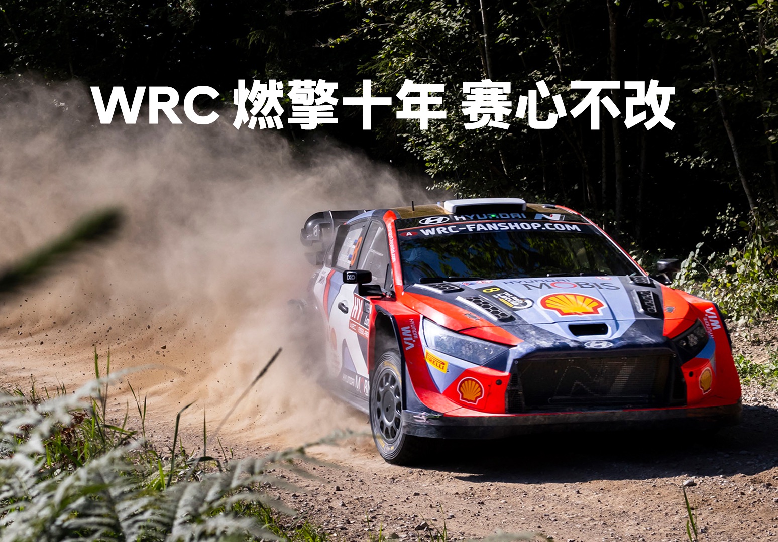 WRC紧张排位：谁能占据有利位置？