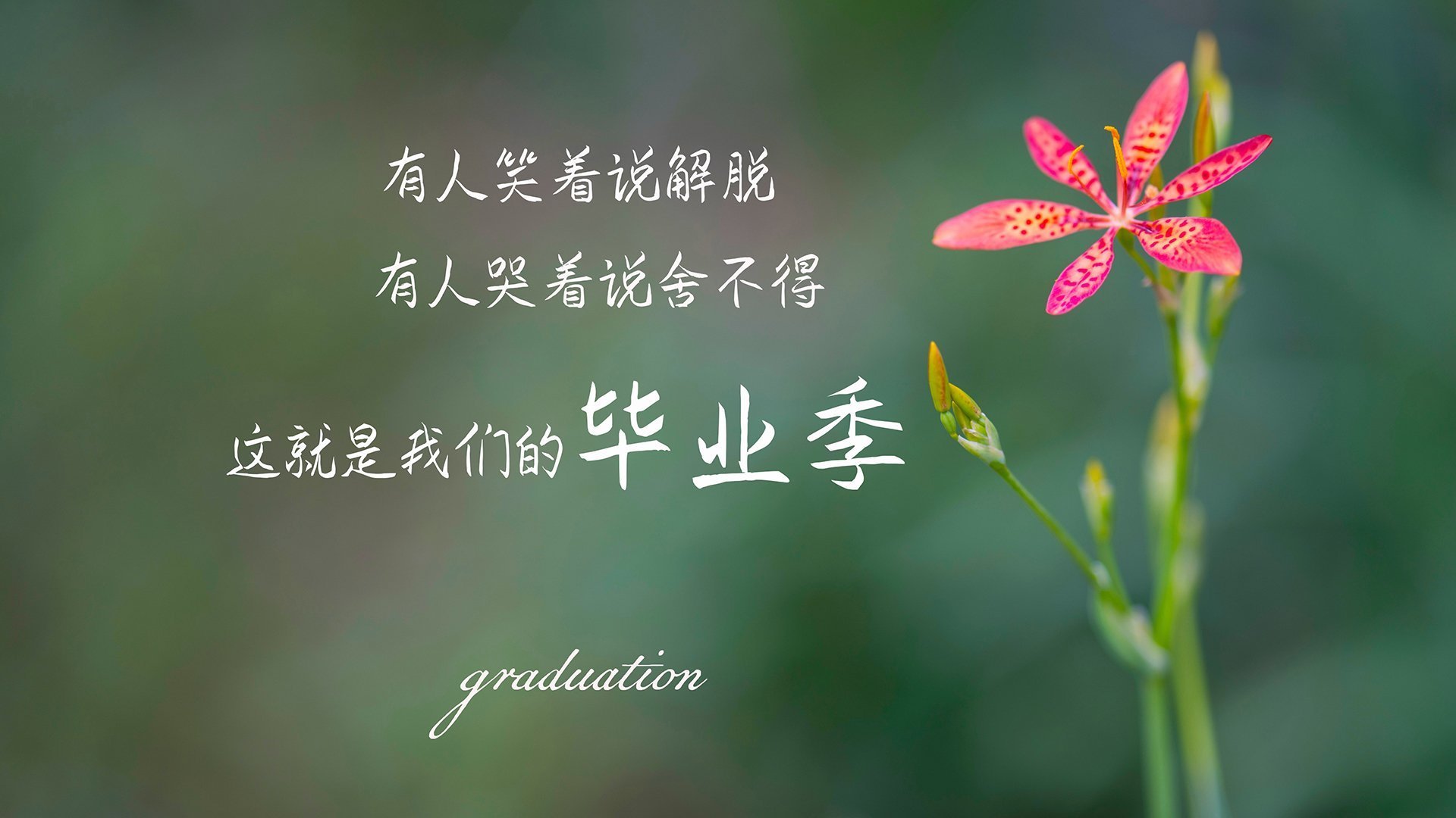 乐鱼电竞在线平台登录入口-法国反曲弓选拔赛中，巴蒂斯特·阿迪斯和莉莎·巴贝林表现出色