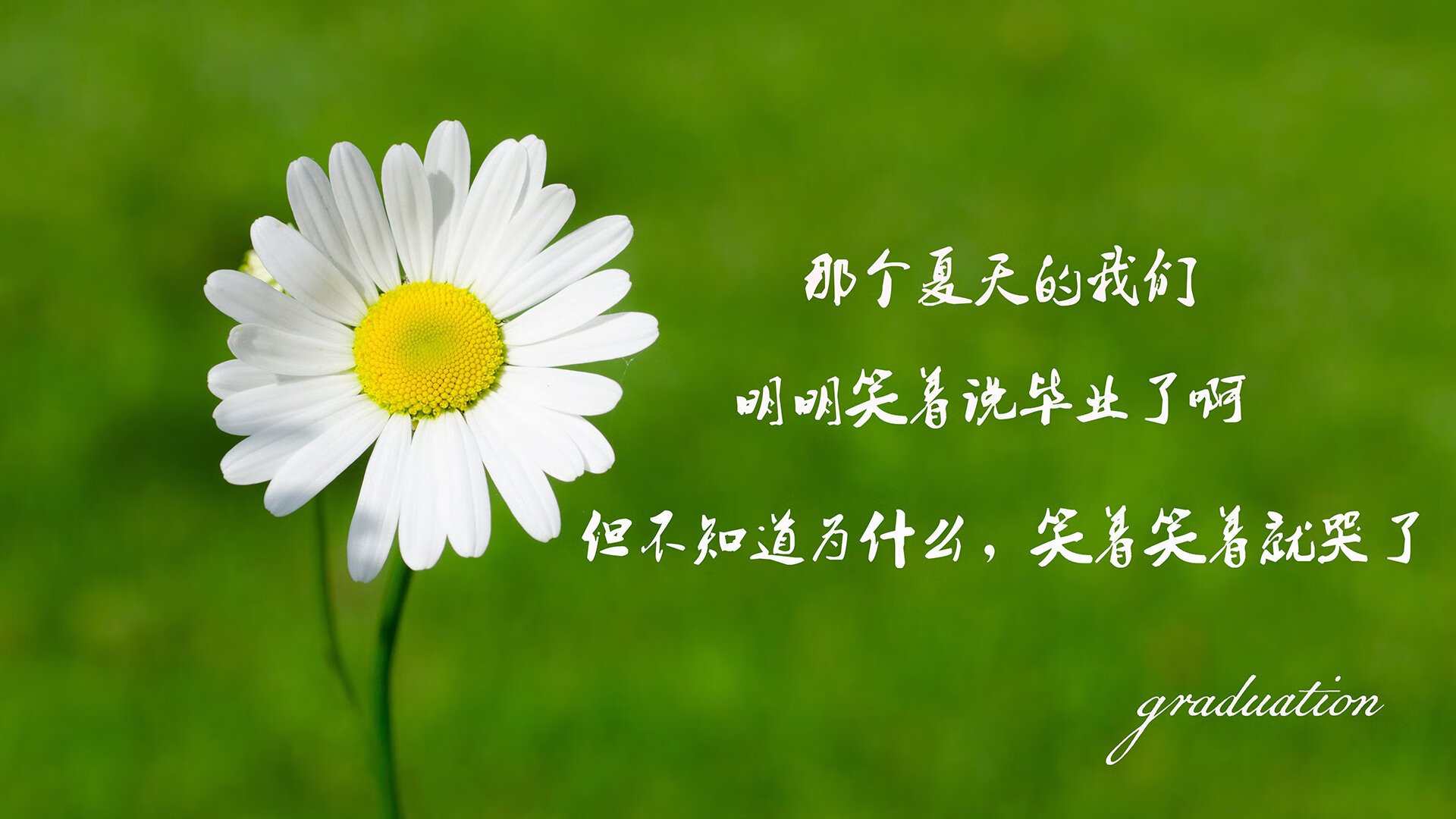 乐鱼电竞在线平台-兰州队负江苏，遗憾结束本赛季征程，cba兰州队