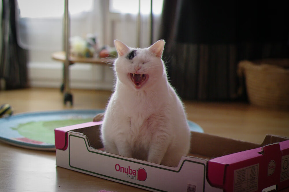 leyu乐鱼官网登录入口-中国女篮全力冲刺赛季冠军，中国女篮全力冲刺赛季冠军是谁