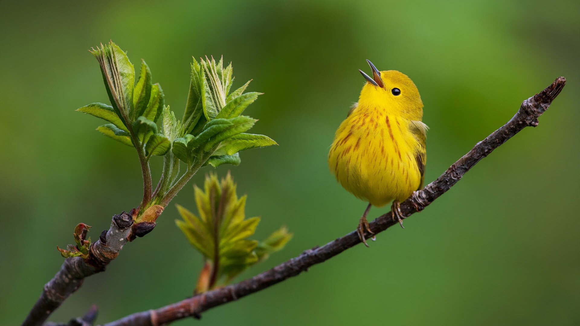 乐鱼官网-体测制度优化引导学生关注体能发展，体测实施方案