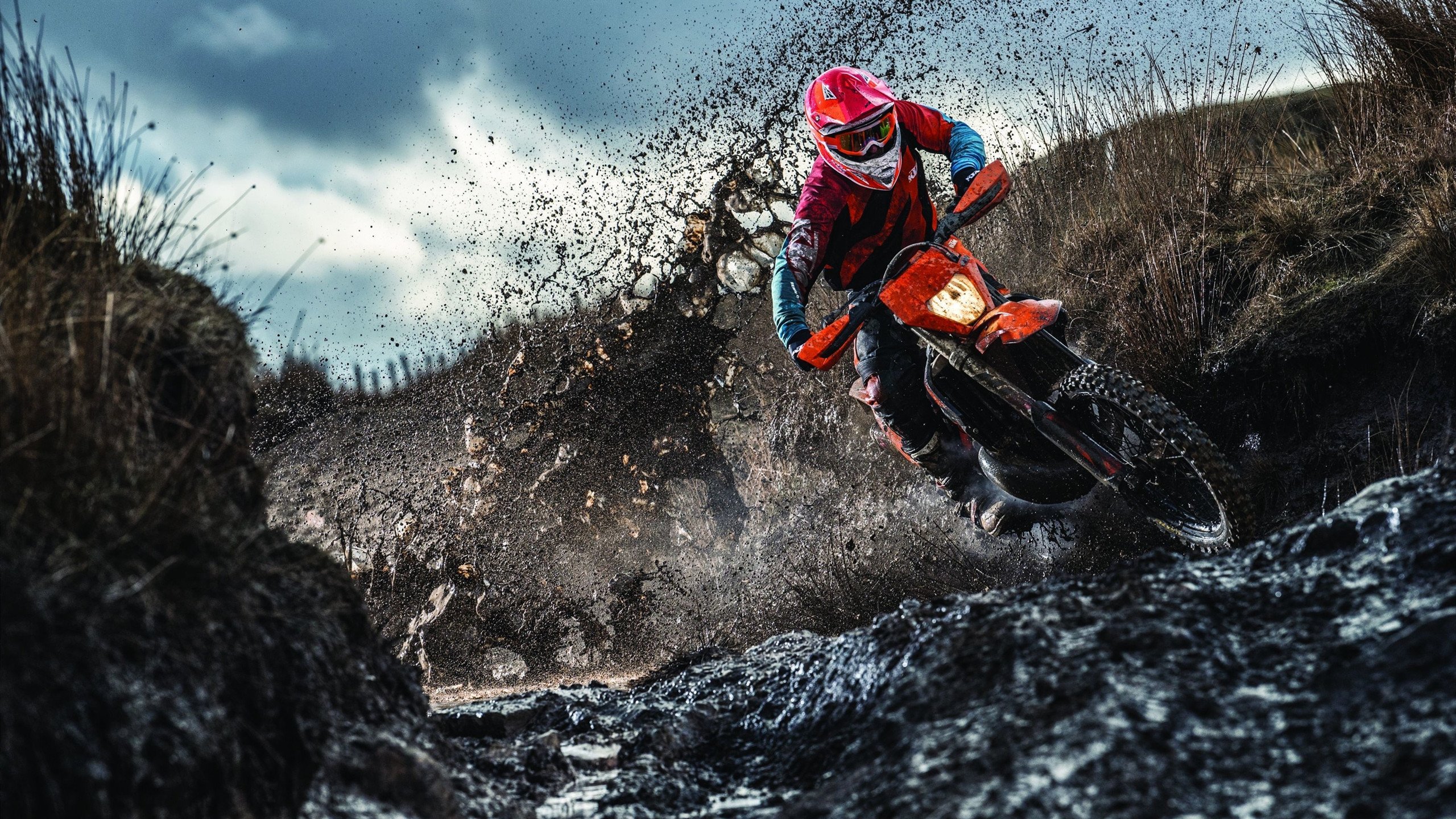 乐鱼vip-体育纪录片聚焦幕后人物打动人心，体育纪录片主题