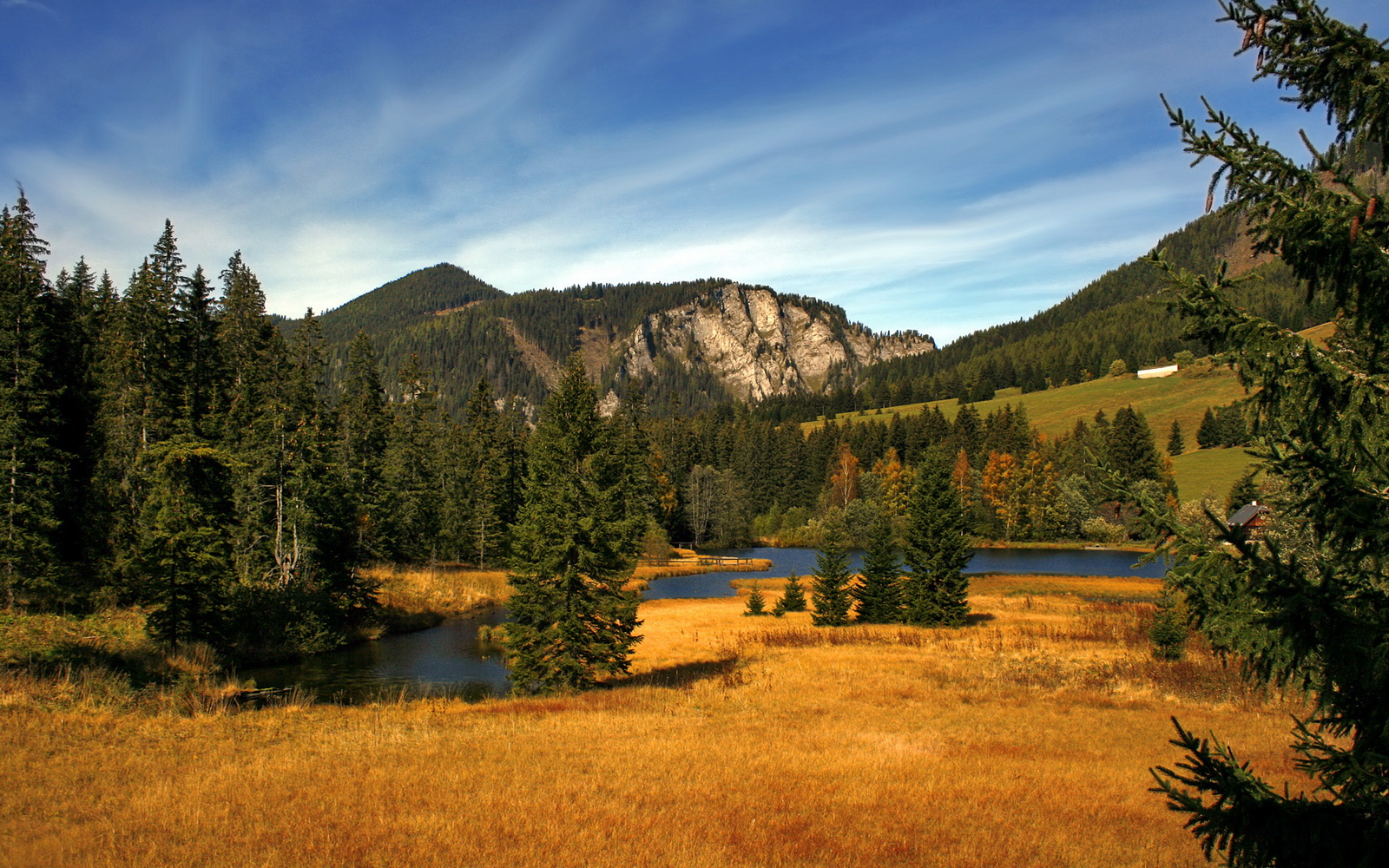 乐鱼体育平台app下载-比赛转播质量提升观众体验明显改善，转播赛事可以收费吗