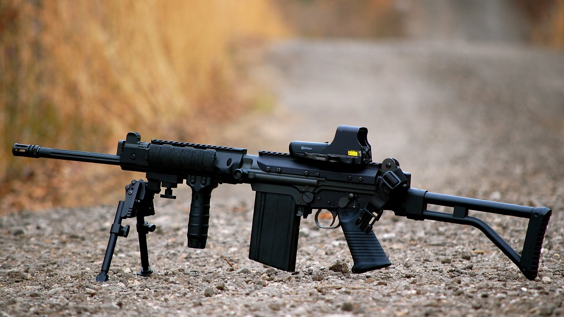 男子仰泳项目全面提升,男子仰泳世界排名