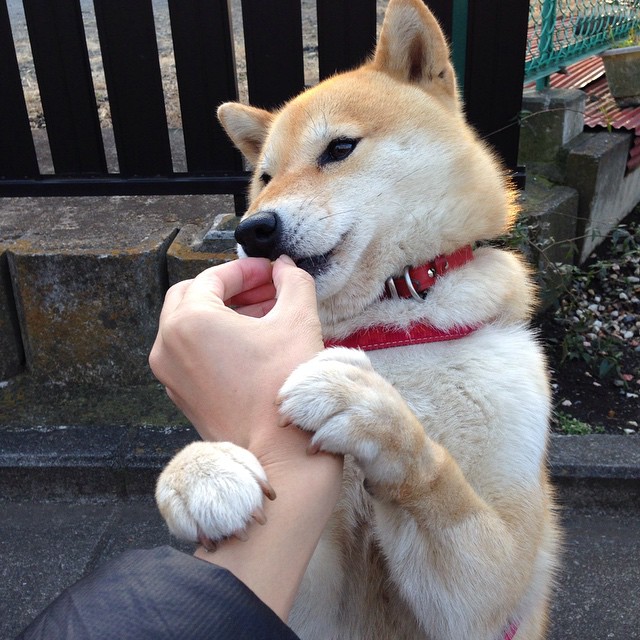 乐鱼体育-自由泳德国选手突破1分关口，自由泳破纪录