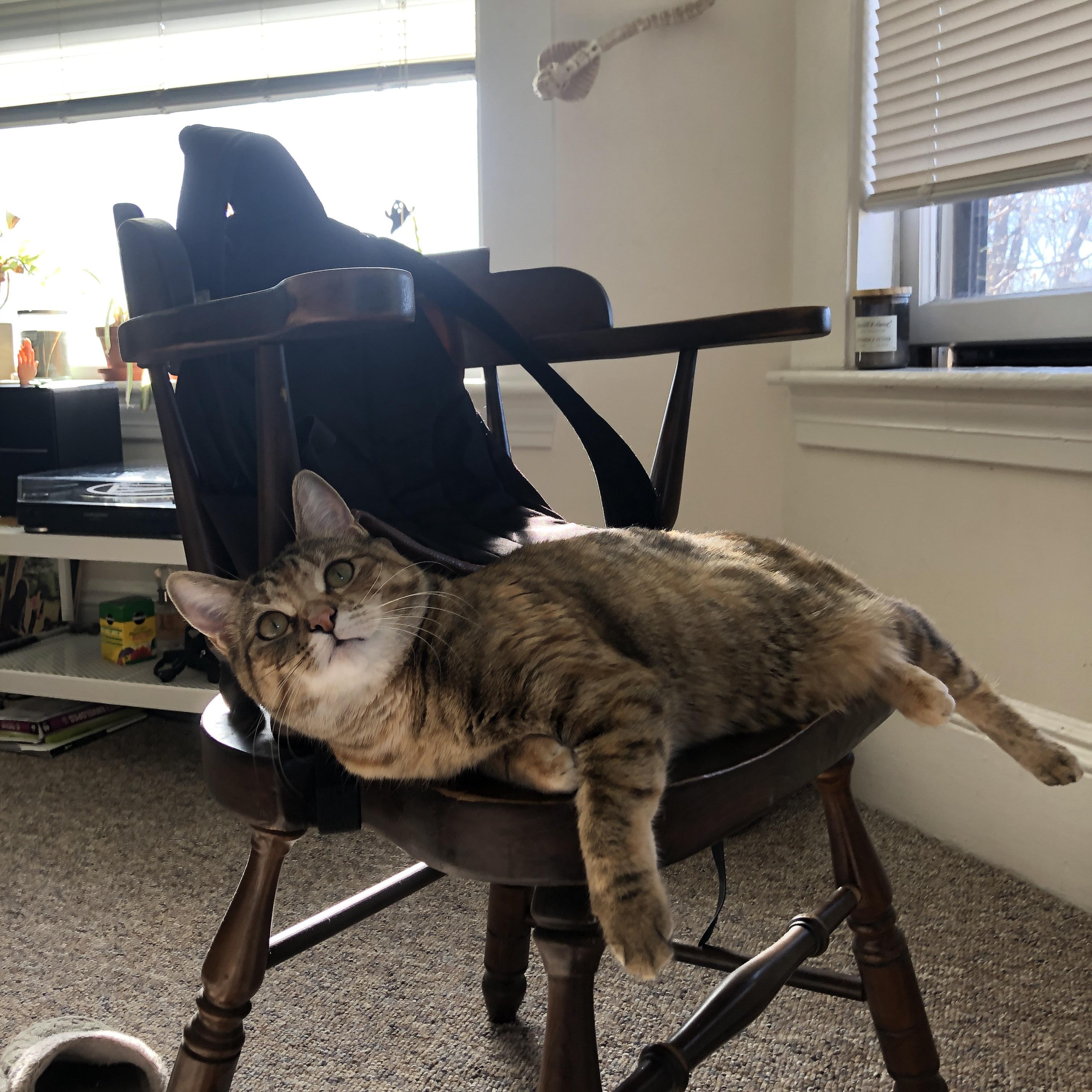 乐鱼电竞在线平台-字母哥失误频发雄鹿伤病名单更新，字母哥和雄鹿签了多少年