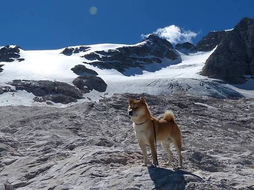 希腊女篮在欧洲锦标赛中惊艳亮相,争夺金牌势在必得,希腊u20女篮