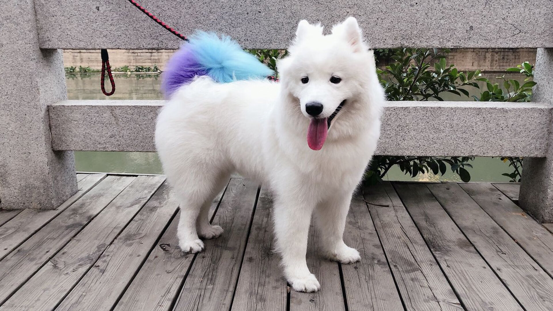 普里戈达完成关键一游 展现韧性,普里戈金百度百科