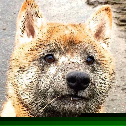 leyu乐鱼-足球运动走出大城市，乡村足球逐渐兴起，农村足球比赛